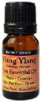 Ylang Ylang